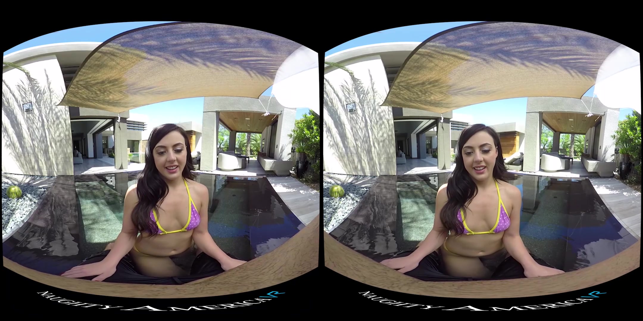 Afternoon Anal Affair featuring Whitney Wright