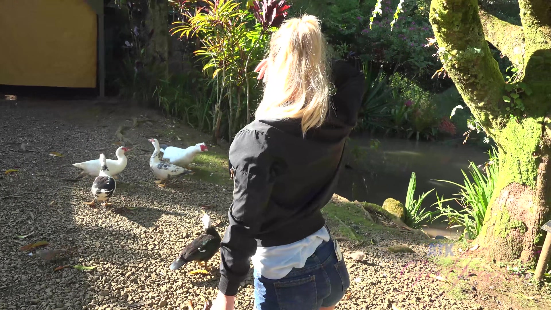 Virtual Vacation In Hawaii With Bailey Brooke Part 7