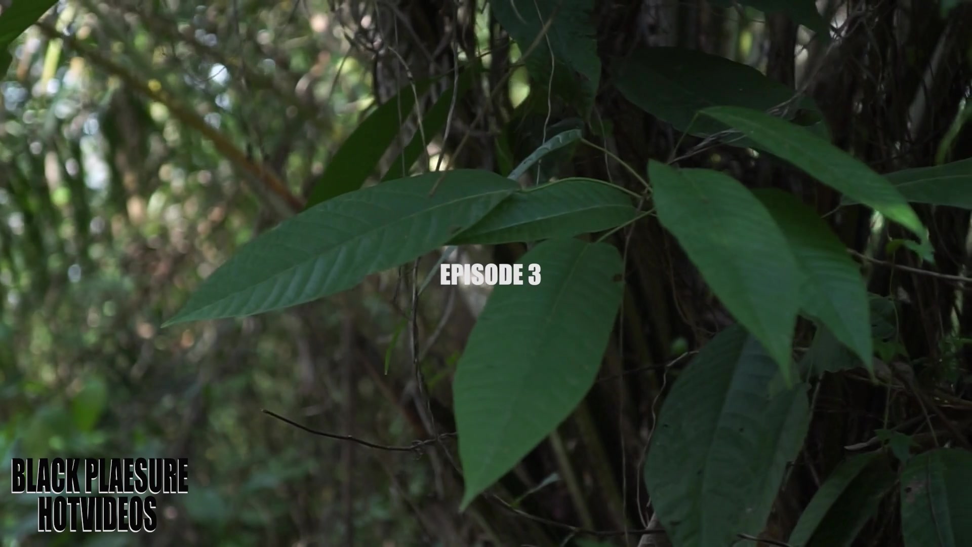 3some With My Neighbor And My Best Friend - Sex Movies Featuring Africansexglobe