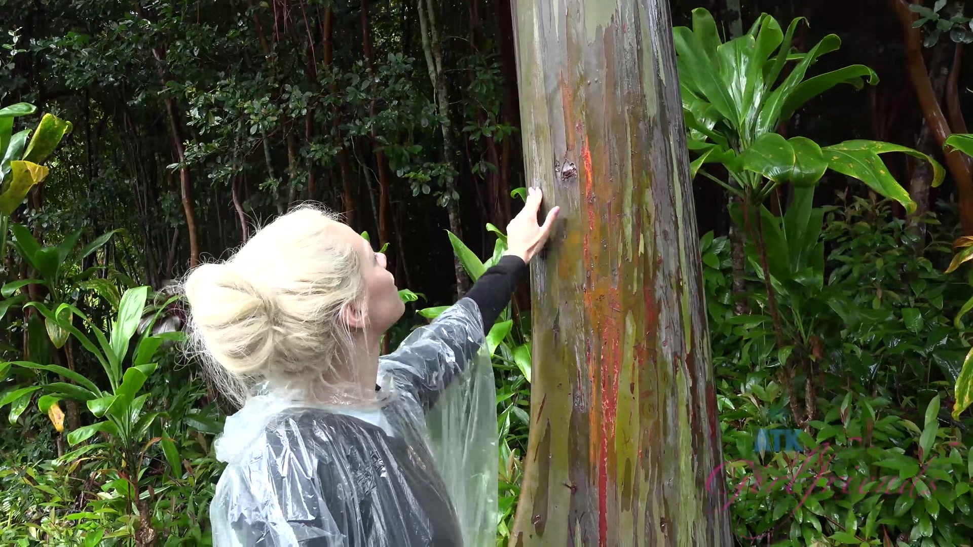 Virtual Vacation Hawaii With Elsa Jean 5/8
