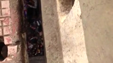 Surat pair underneath bridge sex free porn pictures
