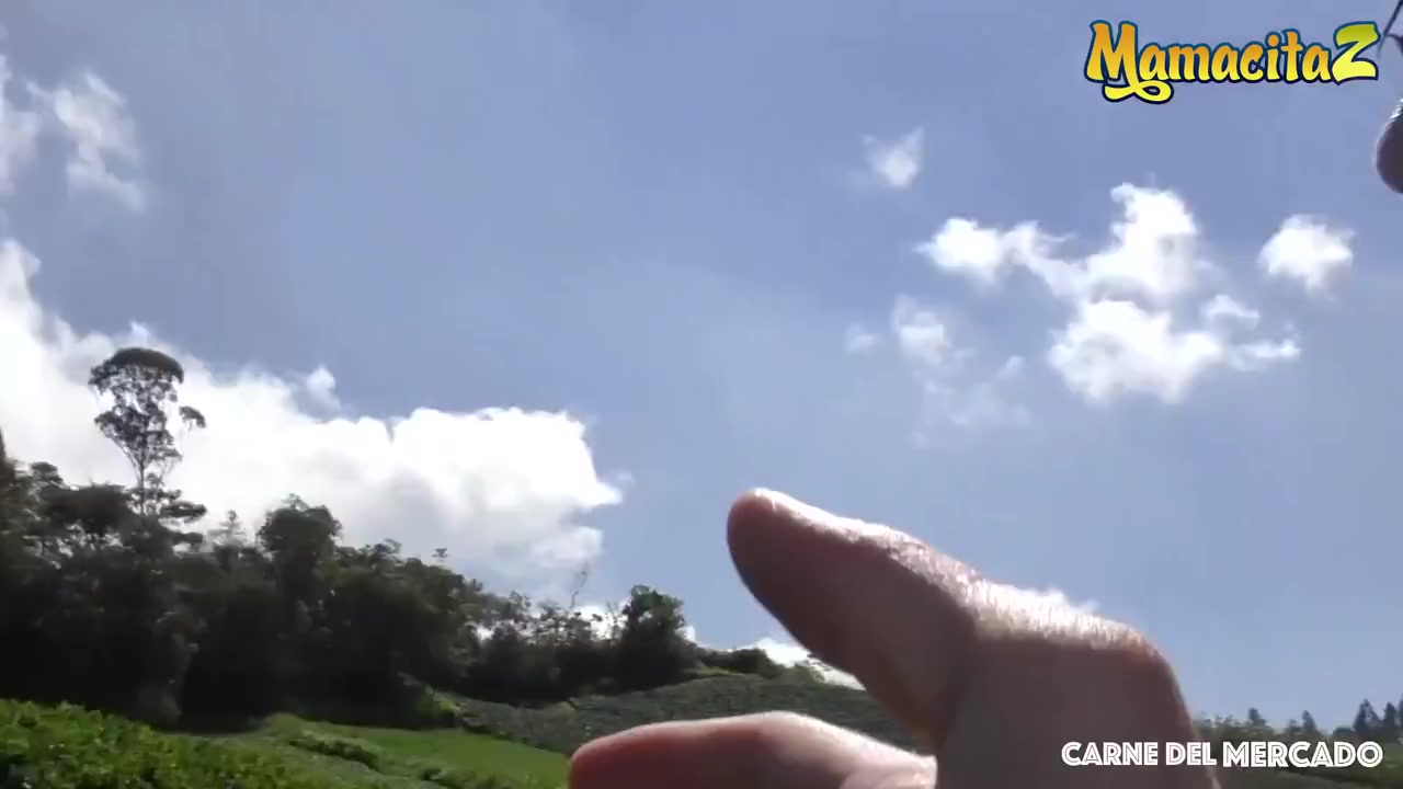 Huge Ass Latina Colombiana Takes A Fat Cock In Her Pussy