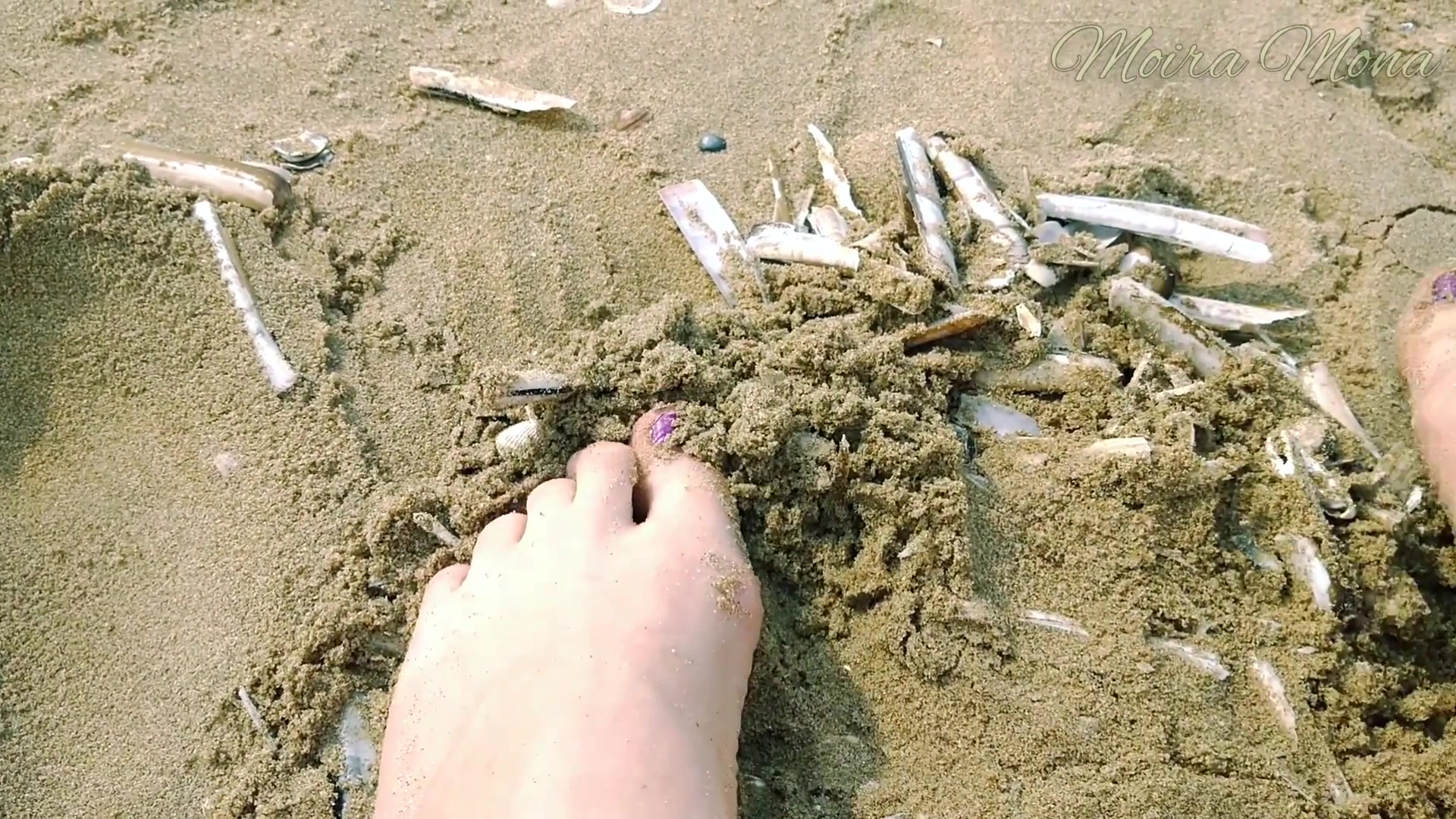 Sand And Shells Under My Feet