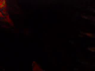 Nasty slut begs for anal punishment and oral delight
