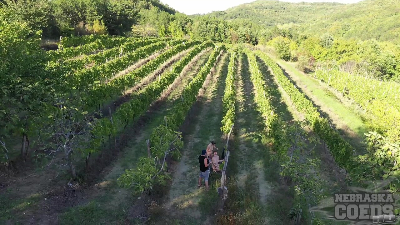 Grape Harvest In Italy Josie And Sofie Naked In The Vineyard Eating Grapes Nude Outdoors