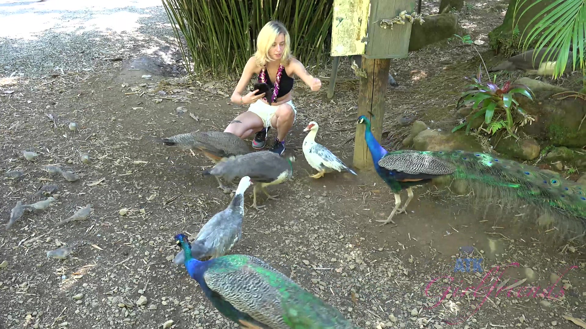 Virtual Vacation Hawaii With Haley Reed 7/7