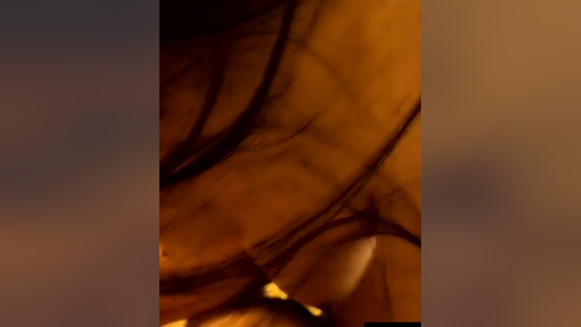 asian sweet babe having massage sex