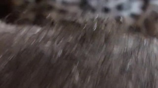 big clit hiding in the hairy bush