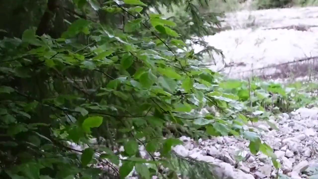 Watched By At The Bath Stream And Totally Away Without Mercy! Ultra Cumshots!
