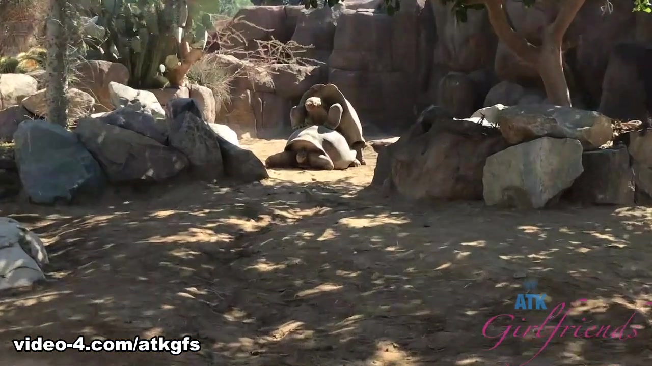 Paris White in Virtual Vacation Movie - ATKGirlfriends