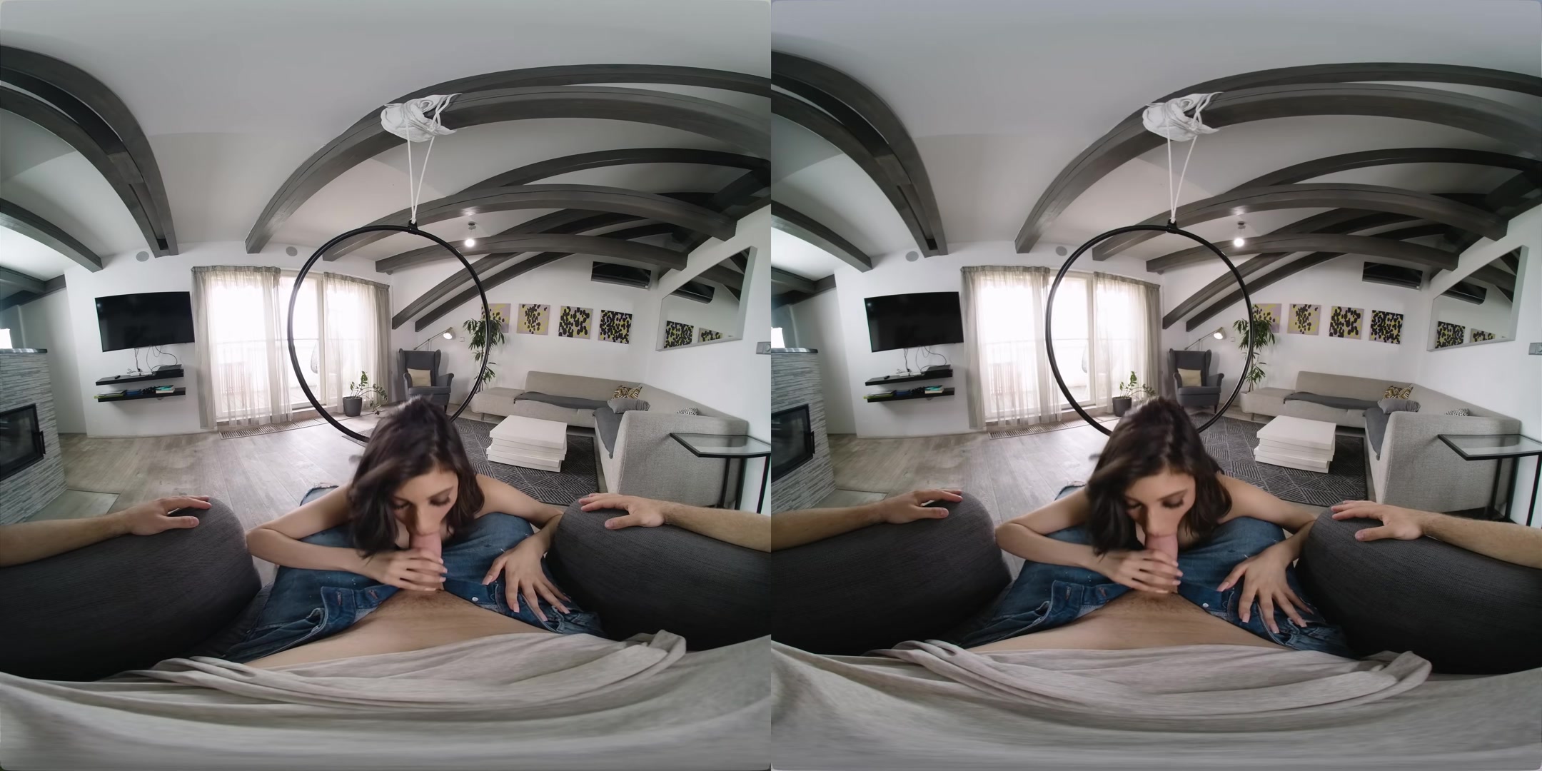 Aerial Hoop - VirtualRealPorn