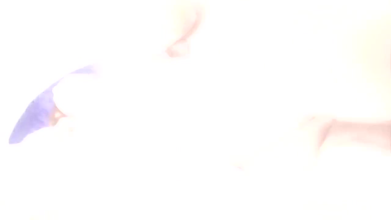 Redhead teen 18+ Amy Gives A Blowjob