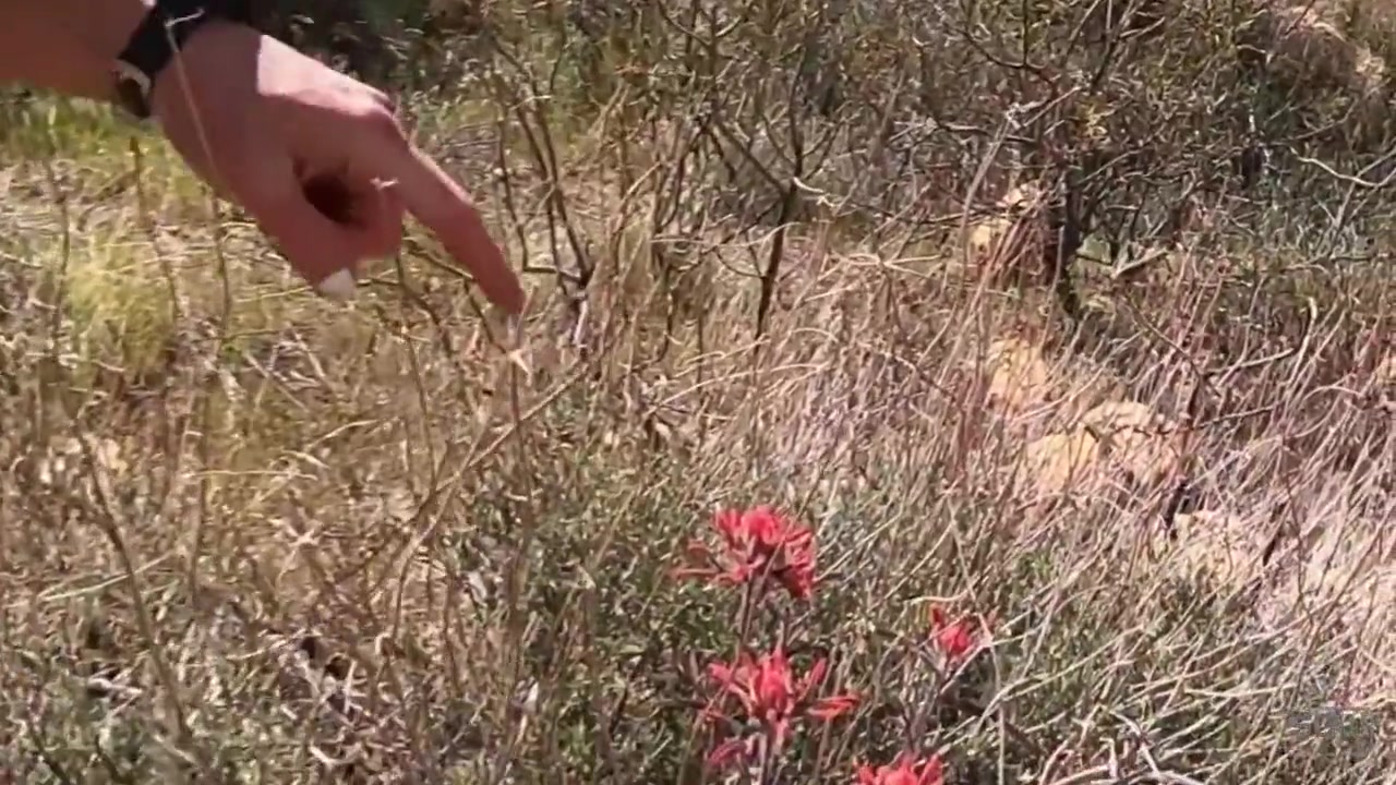 Hiking And Fucking In Public Near Vegas - L A S