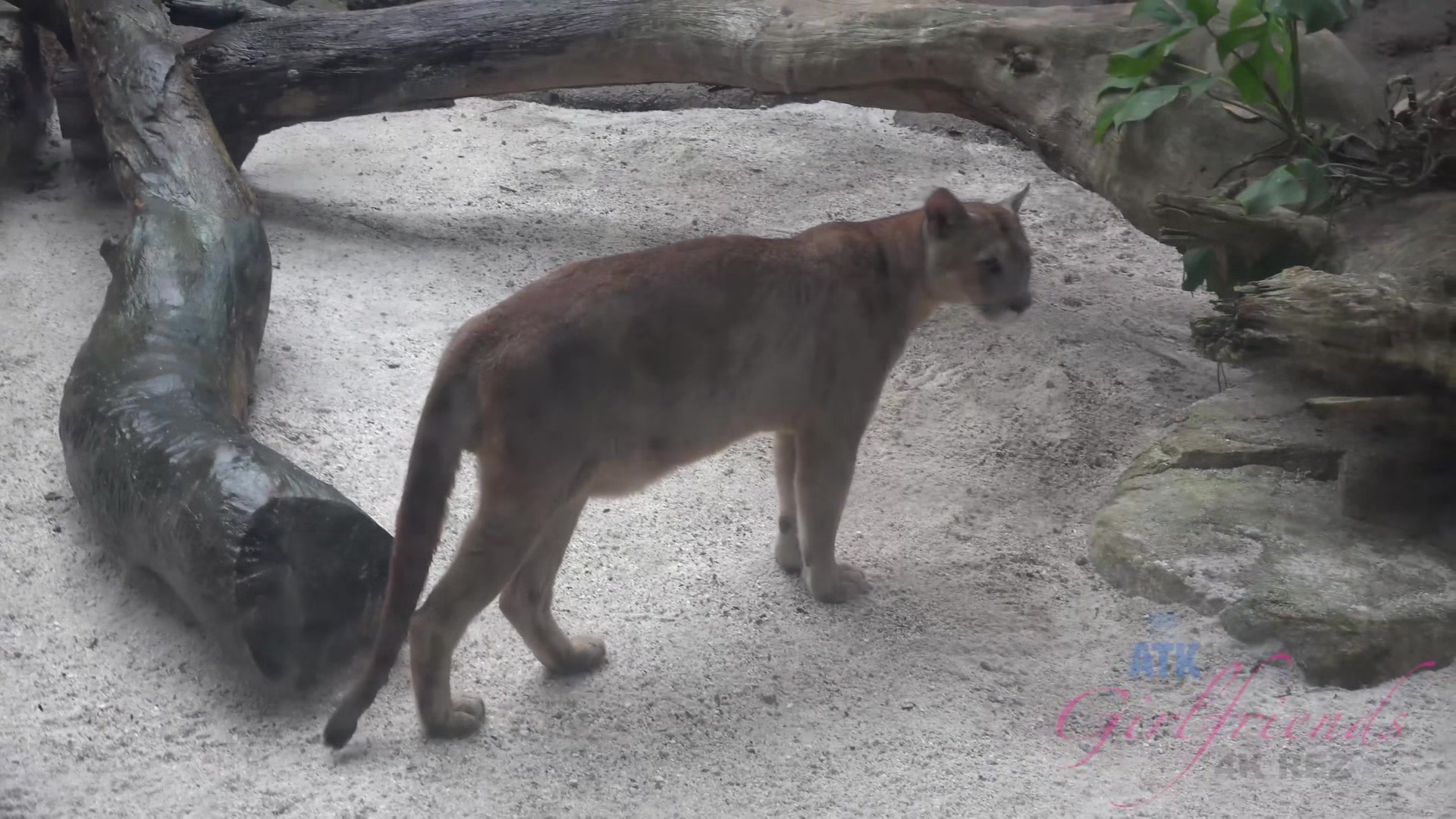 Virtual Vacation In Singapore With Emma Evins Part 4