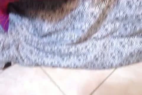 Emo GF fucks & screams out loud