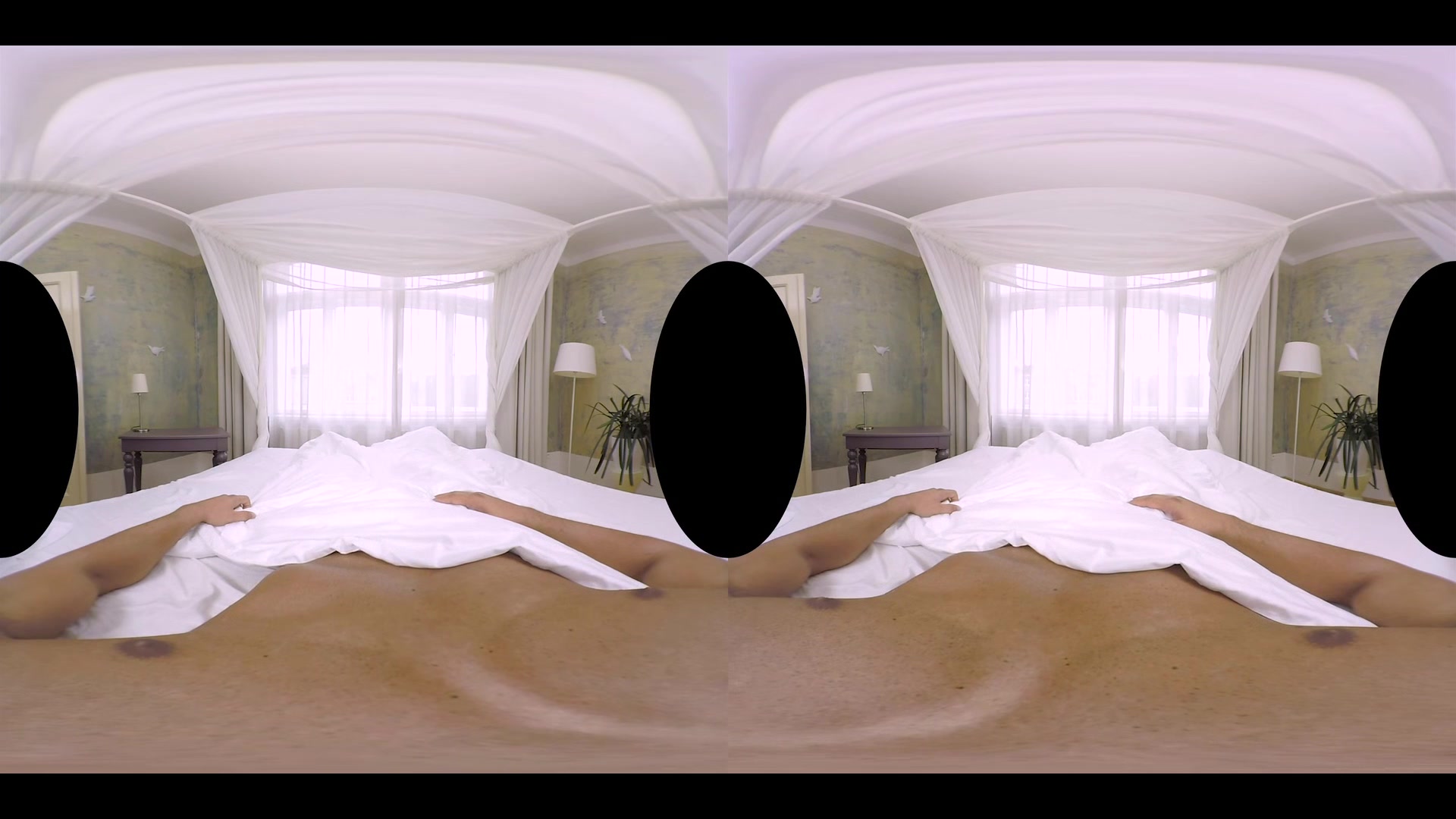 Morning Glory - RealityLovers
