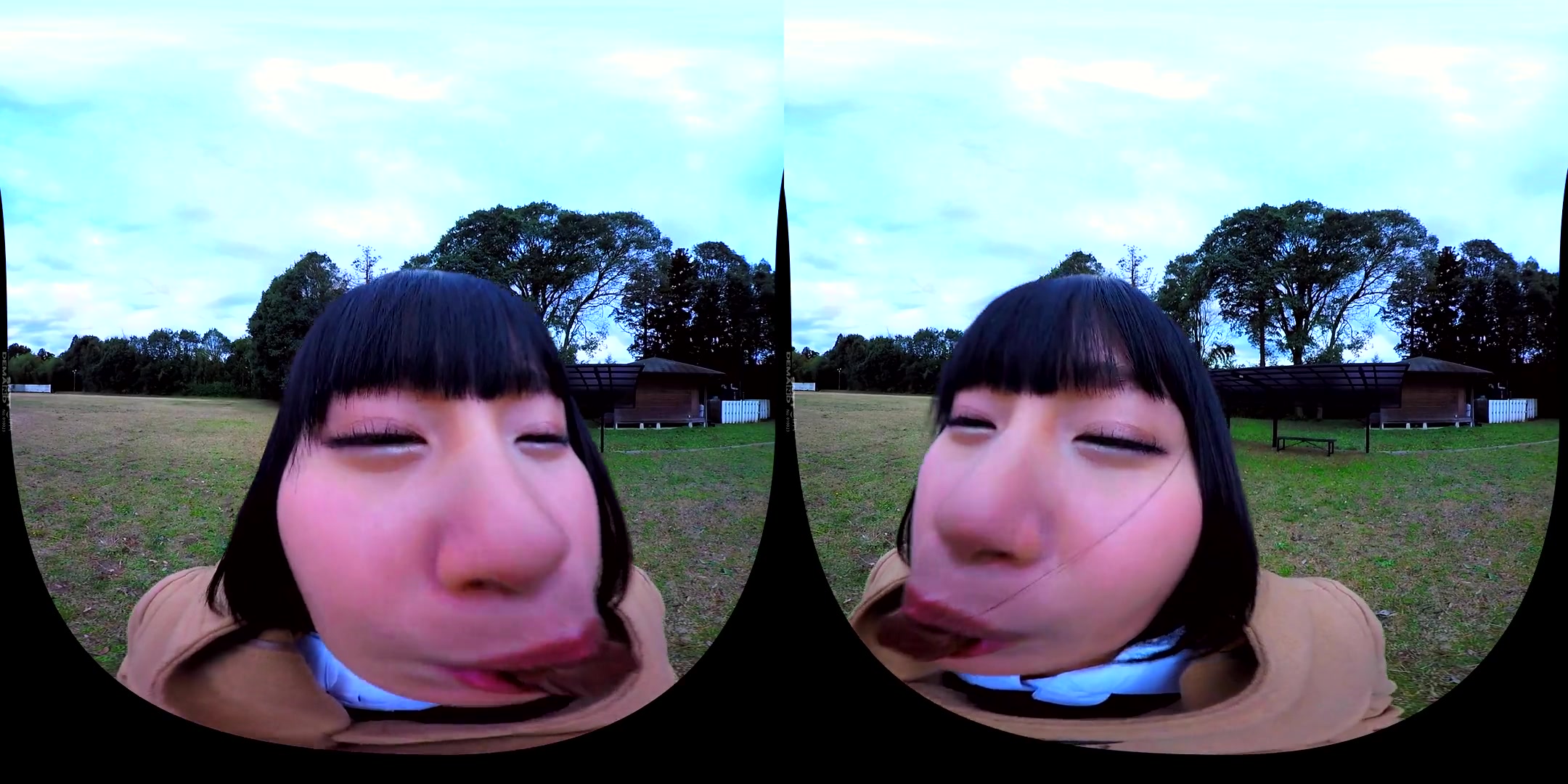 Valentine' Confession VR 2 - Softcore Non-Nude Compilation of Beautiful Japanese Girls Confessing Their Love For You