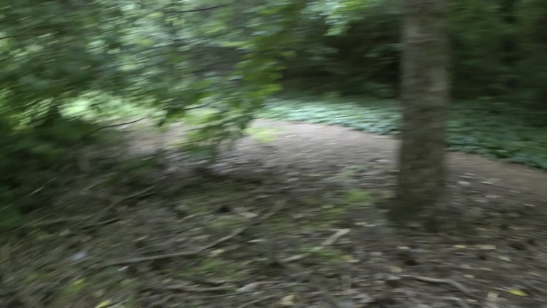 Real outdoor fuck with sexy chick