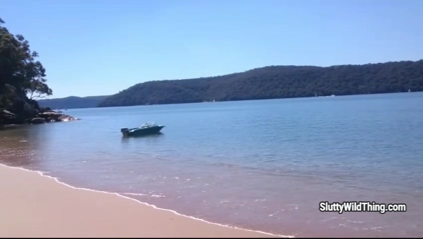 wild thing - Fucking At The Beach