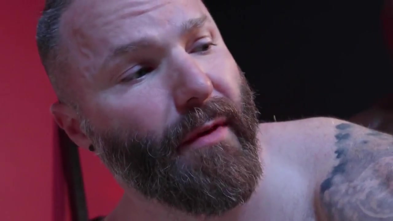 Horsemeat 2
