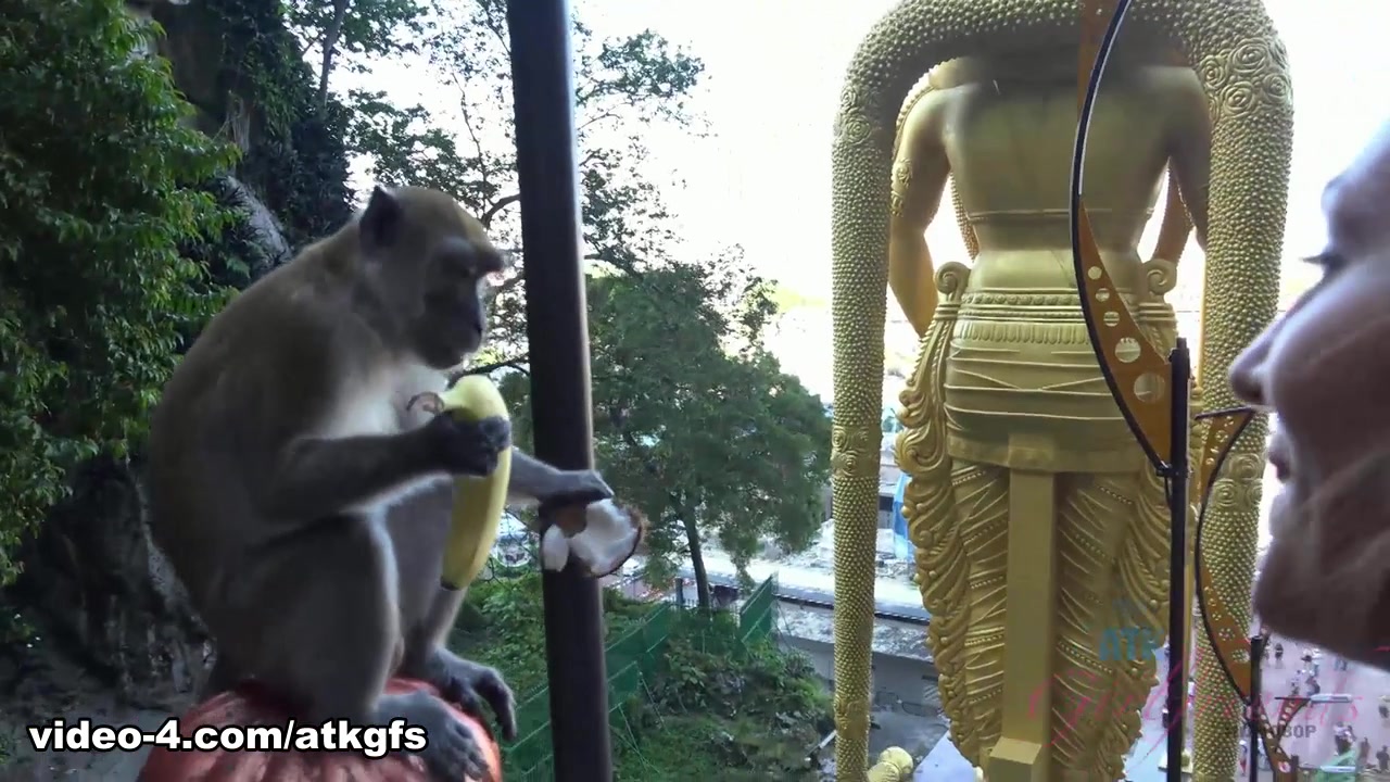 Moka Mora in Moka Enjoys A Day With The Monkeys - ATKGirlfriends