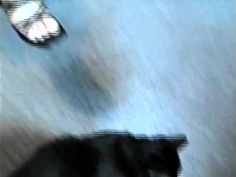 Charming blonde strips her vagina on my camera
