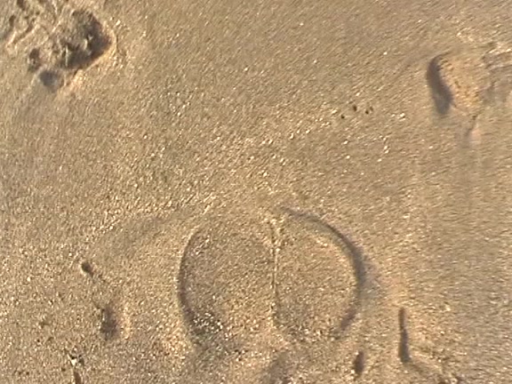 Non-Professional sex free from lustful pair pairing in beach bungalow