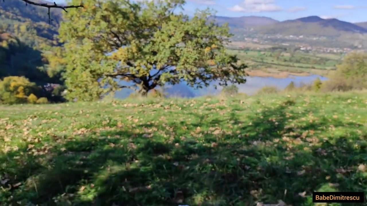 Tarfa Profesoara De Liceu Cu Fundul Mare Fututa De Un Elev In Vacanta Munte
