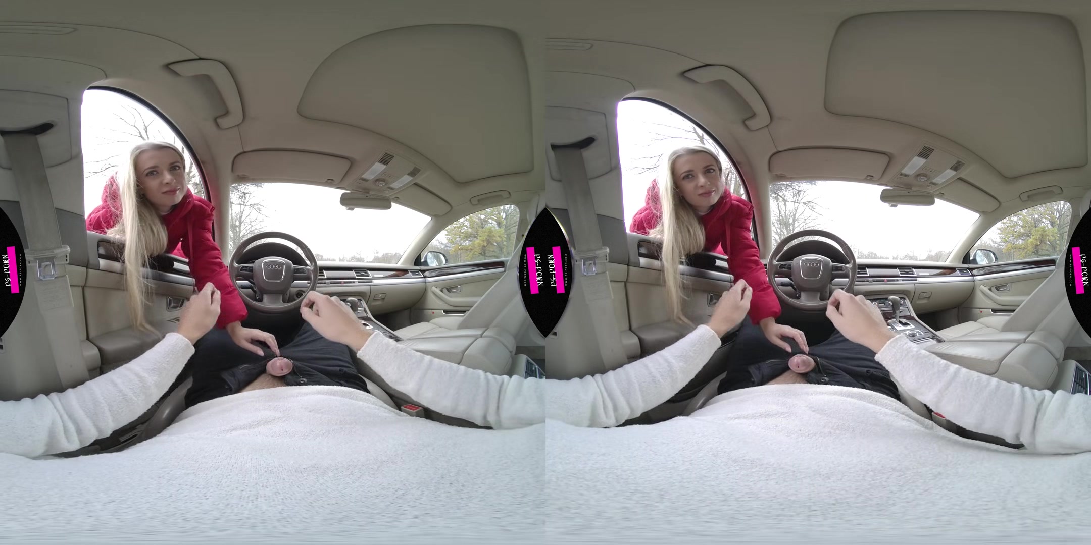 Sex In The Car With Adriana