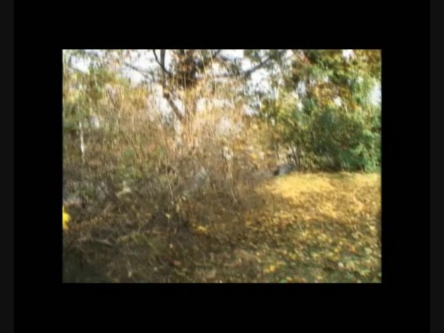 Real amateurs homemade public sex footage of Scorpions outdoor blowjob and exhibitionist fucking in the park