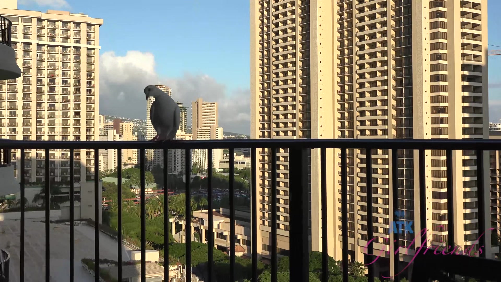 Virtual Vacation In Hawaii With Alexa Grace Part 1