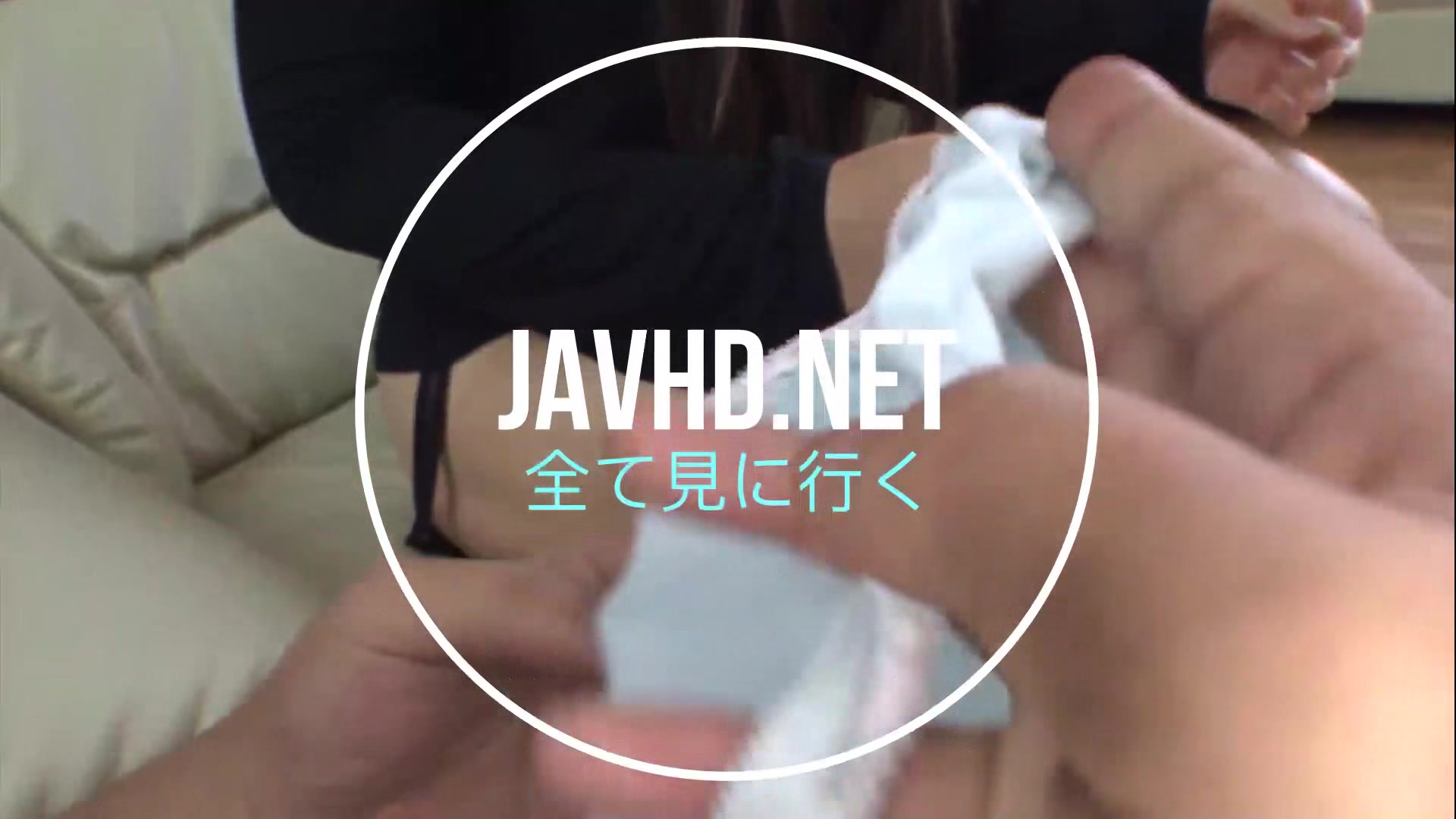 Japanese Hairy Pussy 2 on JavHD Net