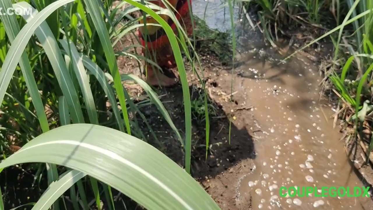 Komal Khuleaam Ganne Ke Khet Mein Apni Chut Dho Rahi Thi