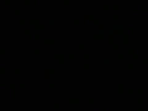 black tranny fucked In The wazoo