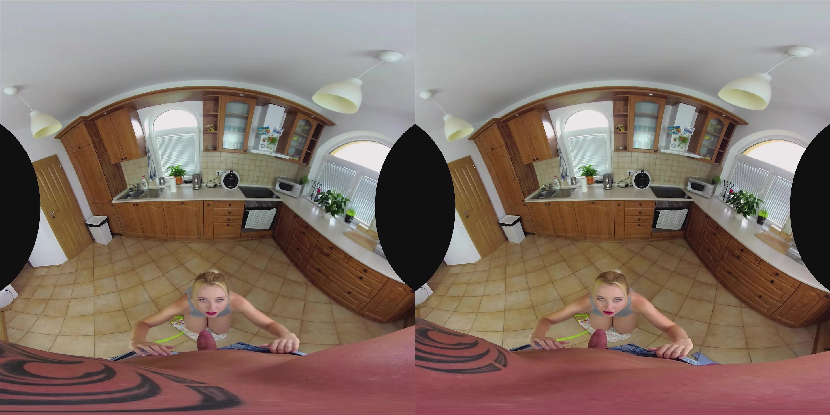 CzechVR 168 Good Housewife Always Swallows