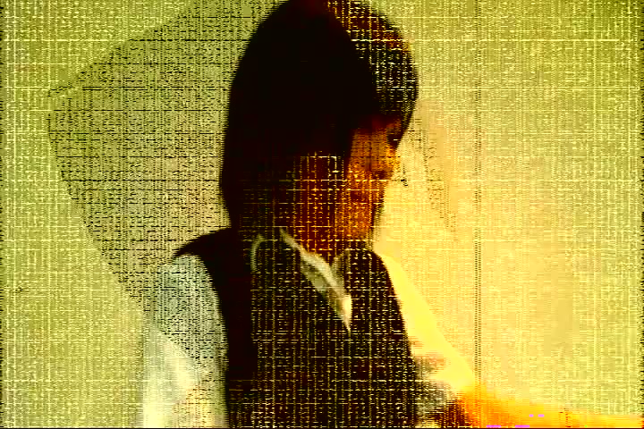 Amateur Japanese Movie