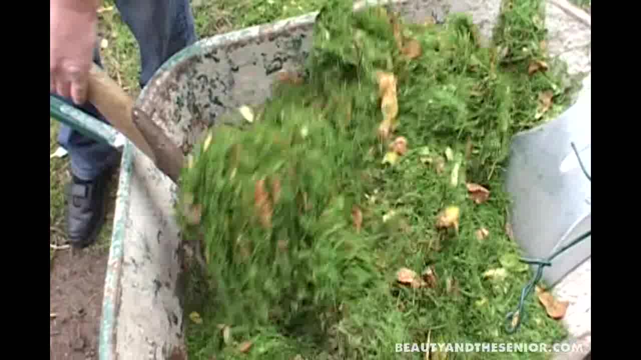 Brunette teen 18+ cutie suck an old cock outdoors