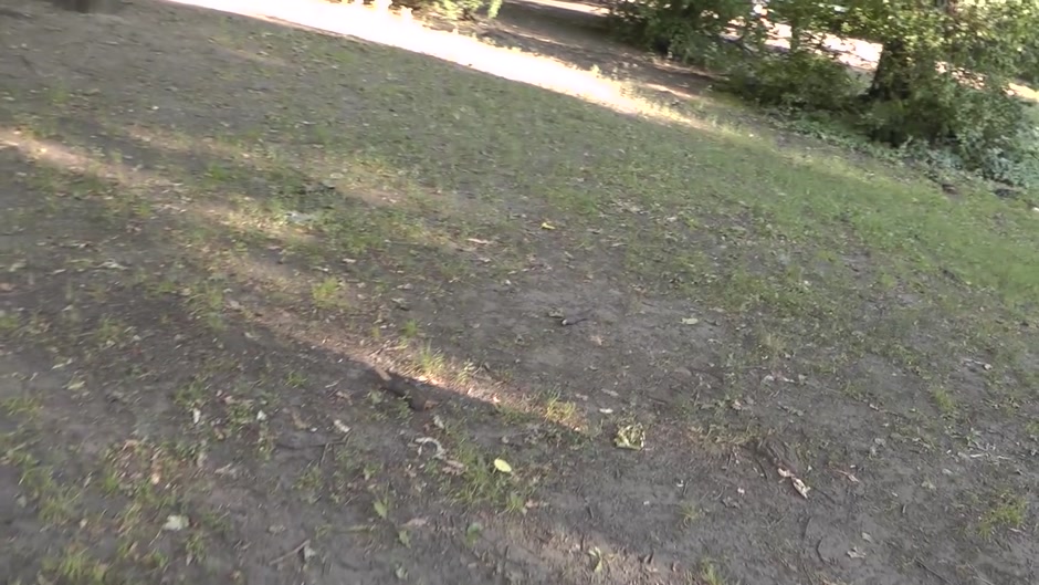 Danna had a sex adventure with a guy in a park