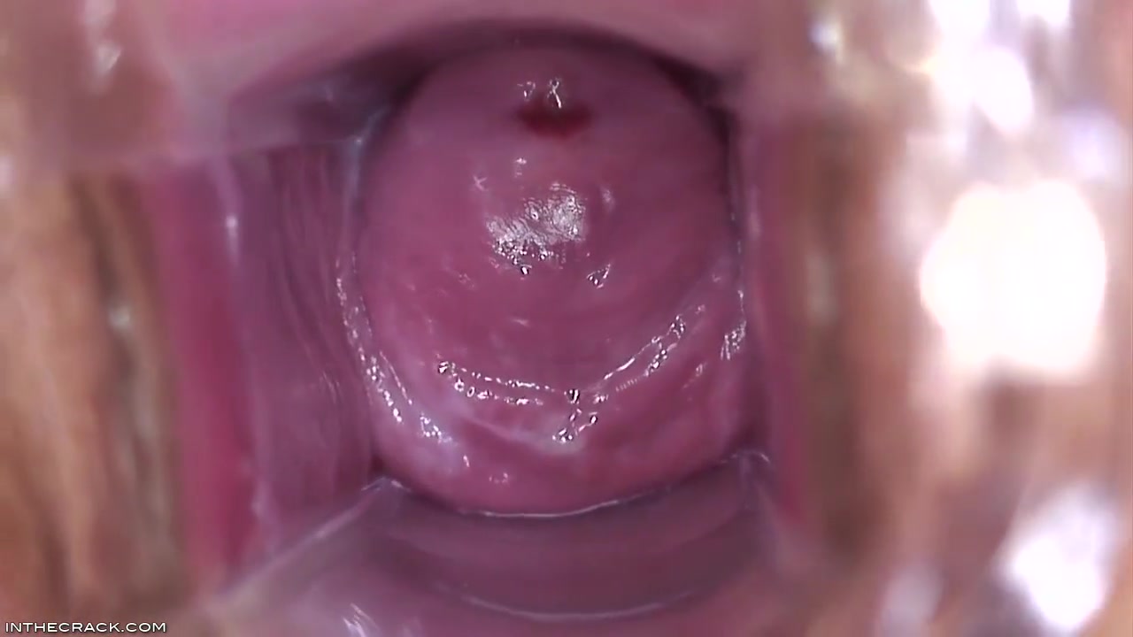 Inside Brandys Pussy