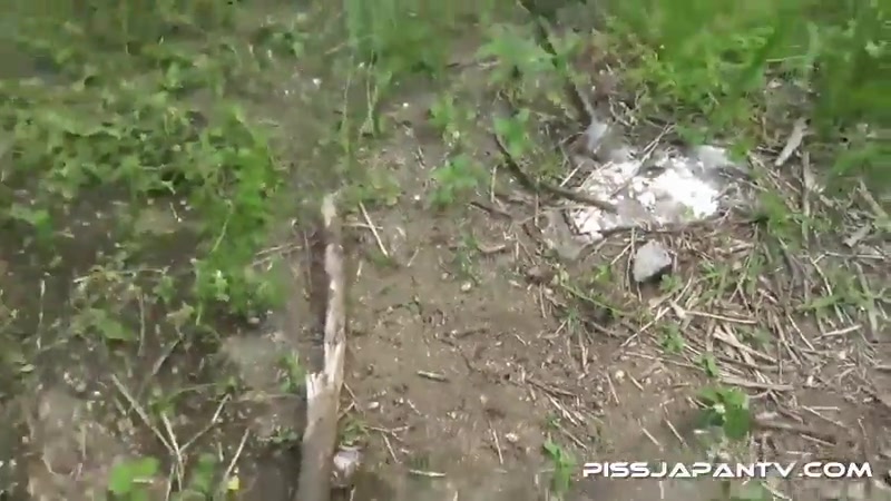 Piddle Here, Puddle There 3 - PissJapanTV