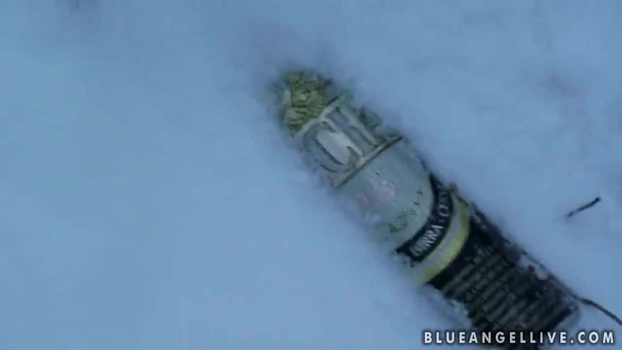 Blue Angel enjoys in playing in the snow
