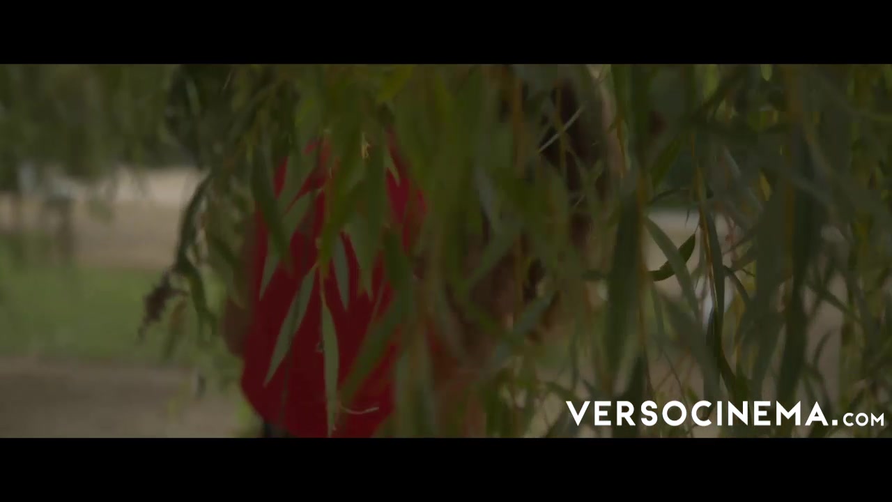 VERSO CINEMA Among The Bushes