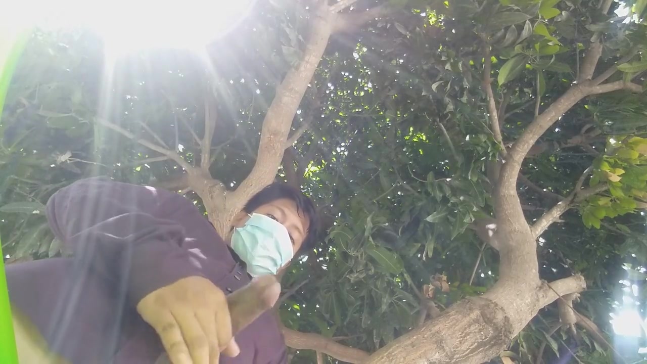 How Nice It Is To Masturbate