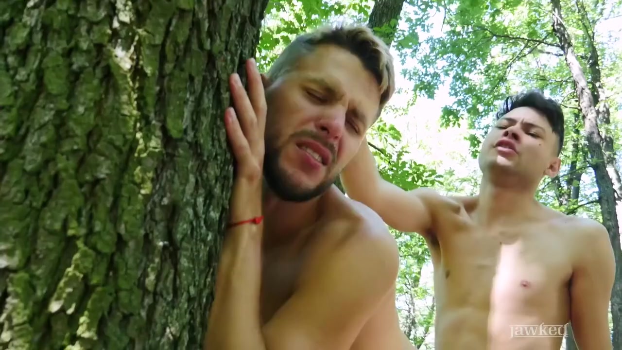 Hard Finds Dick To Fuck In The Forest - Dmitry Osten