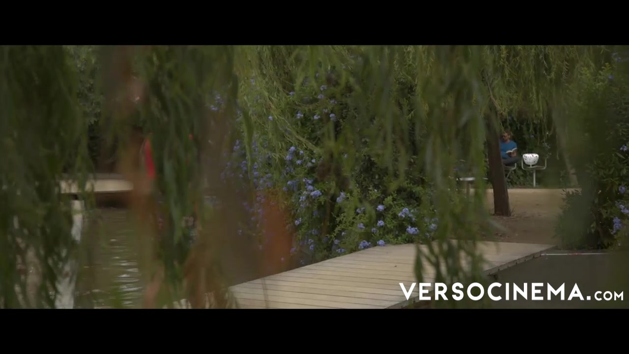 VERSO CINEMA Among The Bushes