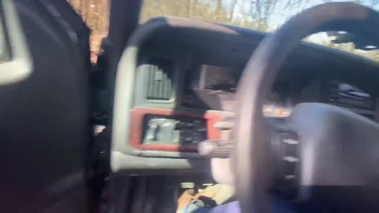 She Sucks My Dick While I Drive And I Stop And Fuck Her Ass