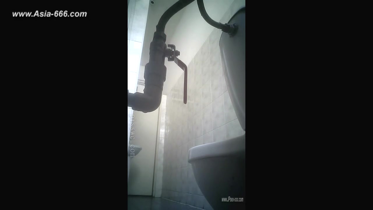 peeping blondes go to toilet.***