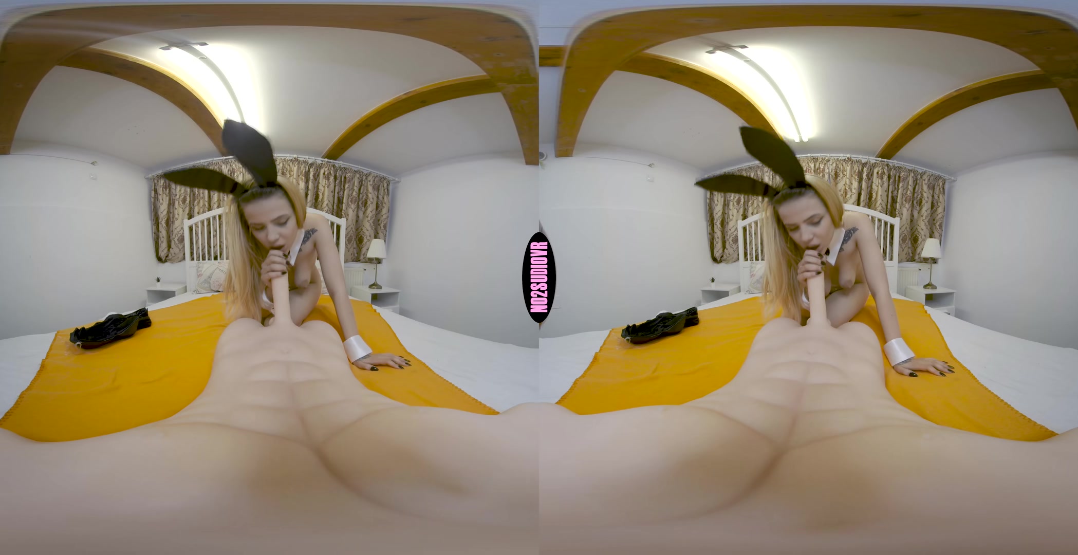 Horny Bunny - No2StudioVR