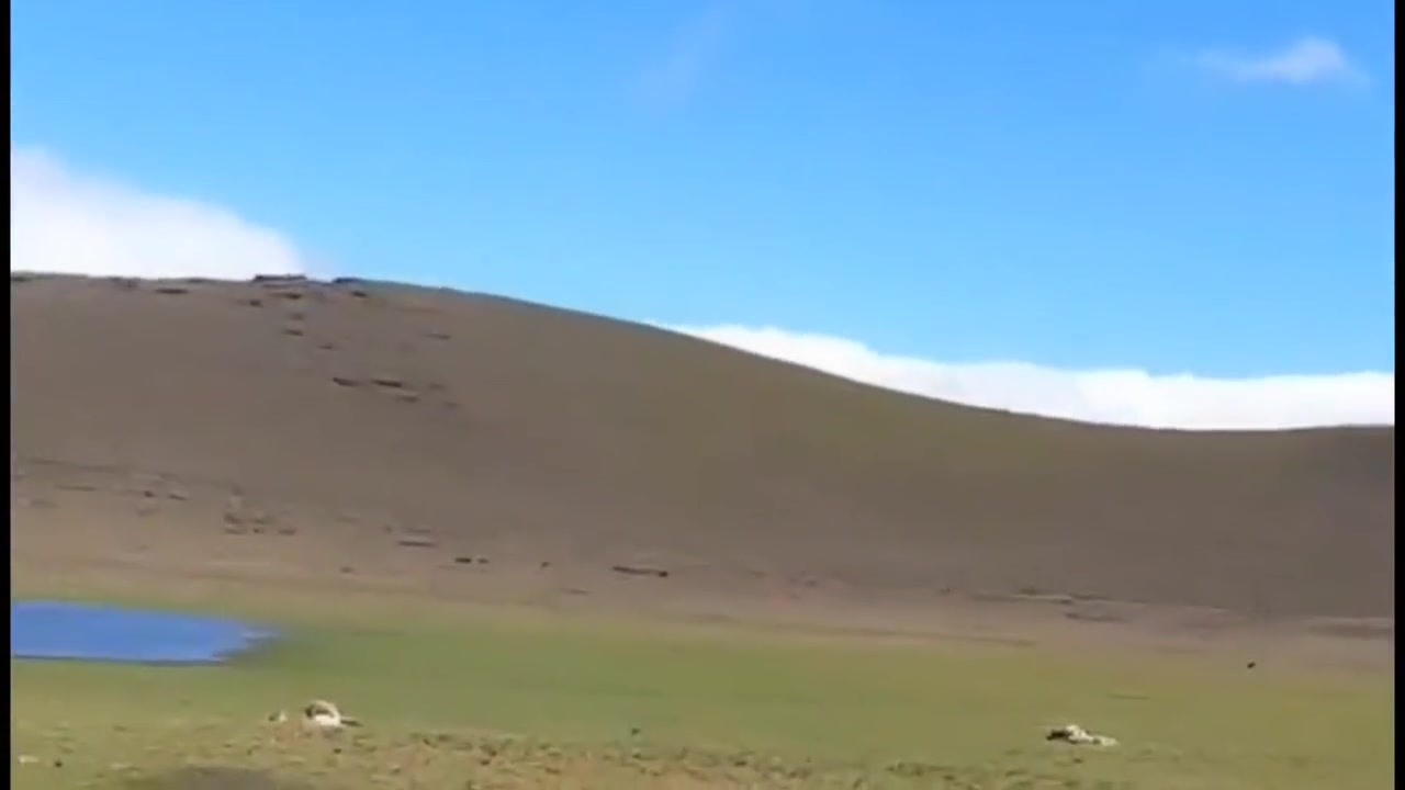 Una Jovencita Culona Reportera En Montana 6 Min