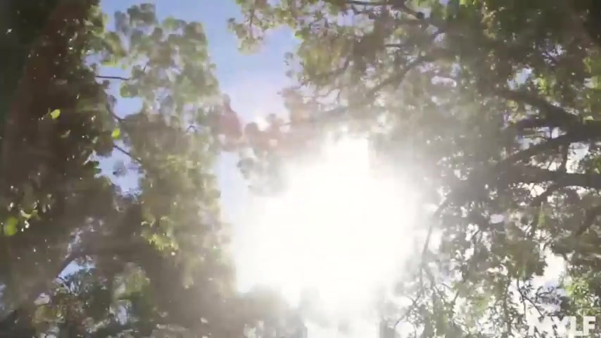 Cute Milf Sex Scene - MYLF